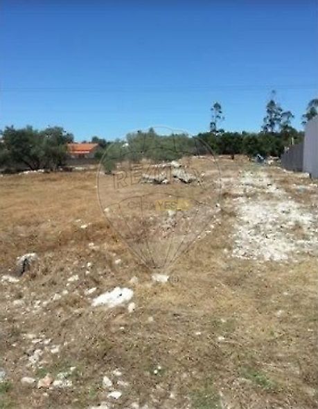 main-listing-picture-0