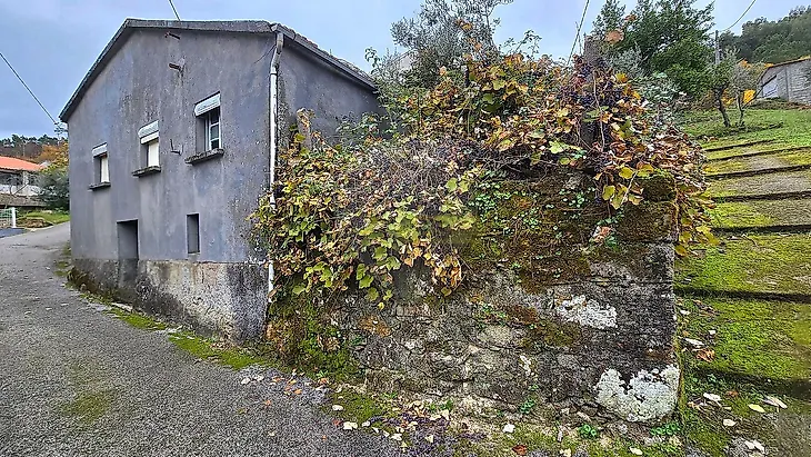 main-listing-picture-0