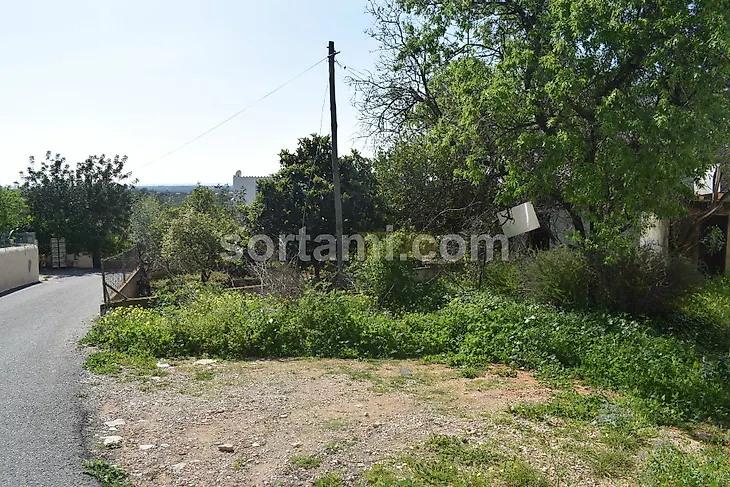 main-listing-picture-0