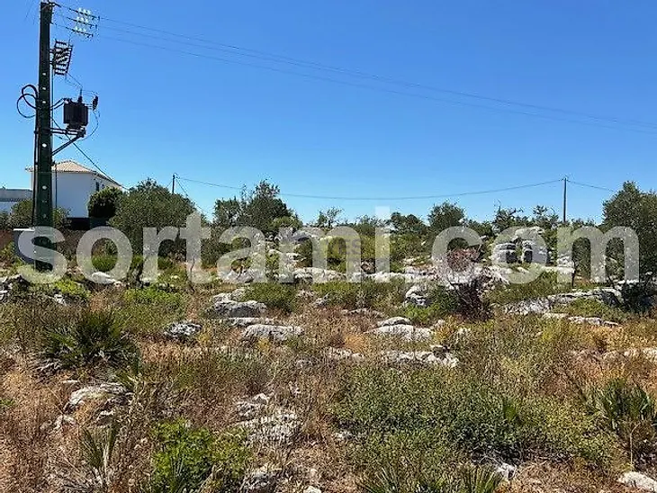 main-listing-picture-0