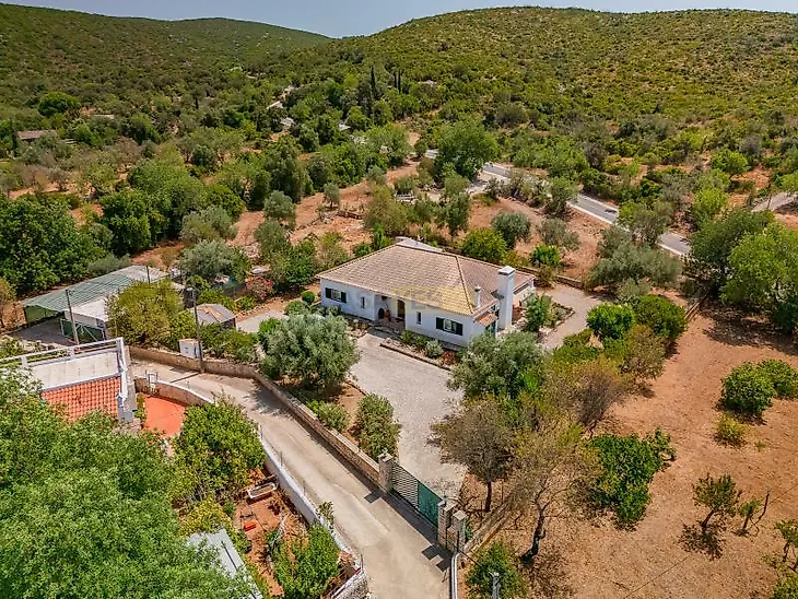 main-listing-picture-0