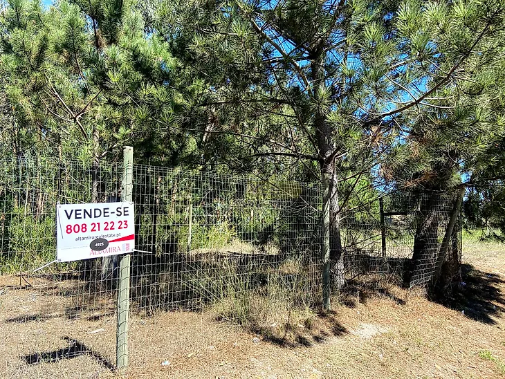 main-listing-picture-0