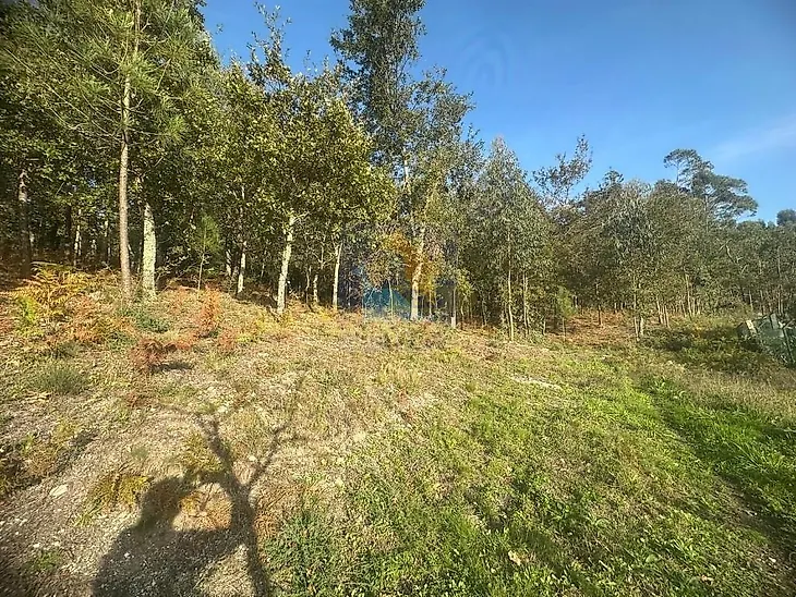 main-listing-picture-0