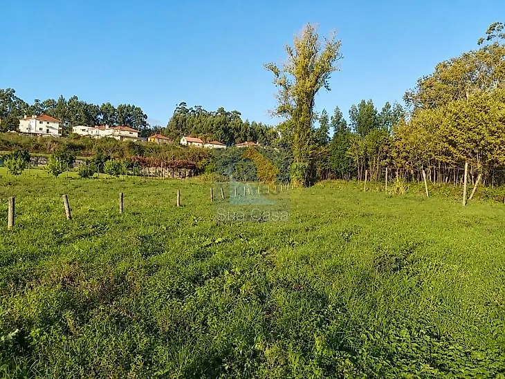 main-listing-picture-0
