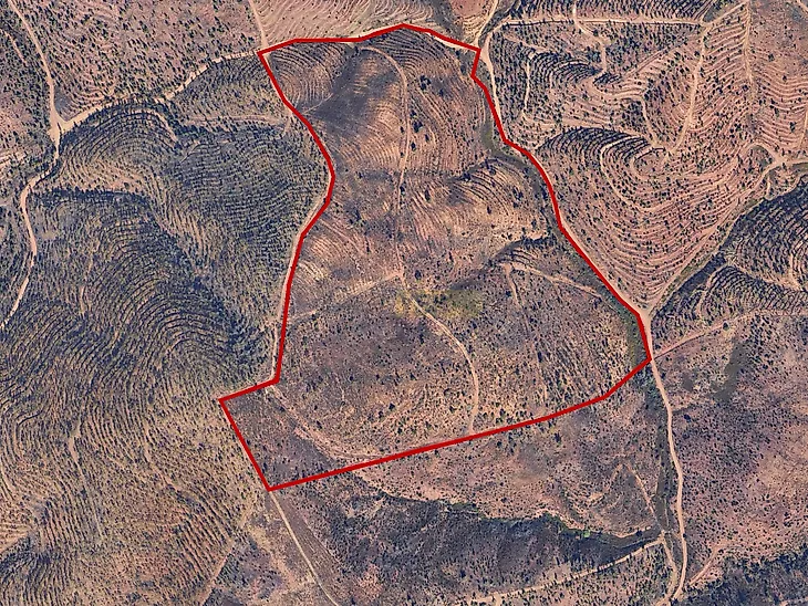 main-listing-picture-0