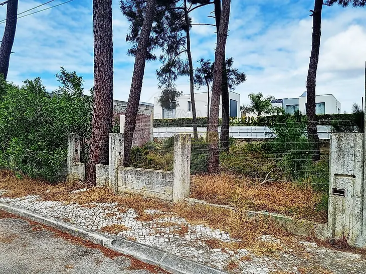 main-listing-picture-0