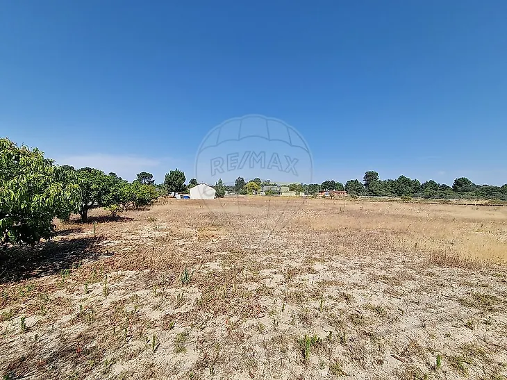 main-listing-picture-0