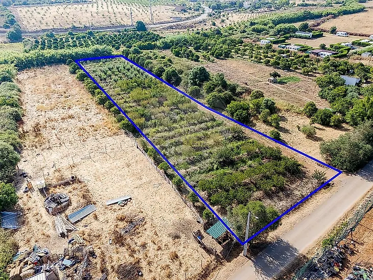 main-listing-picture-0