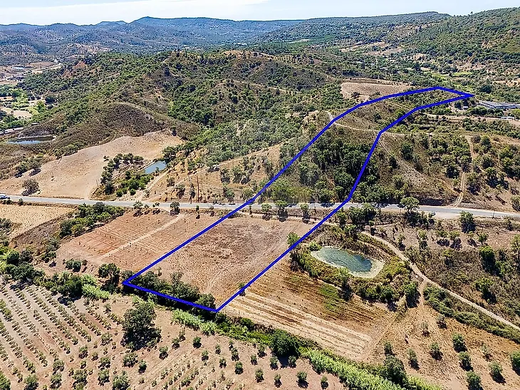 main-listing-picture-0