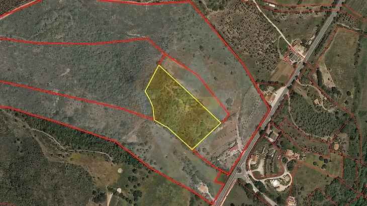 main-listing-picture-0