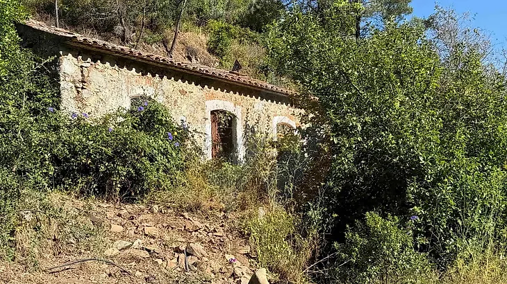 main-listing-picture-0
