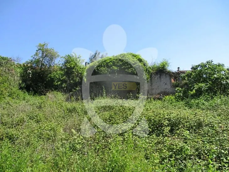 main-listing-picture-0