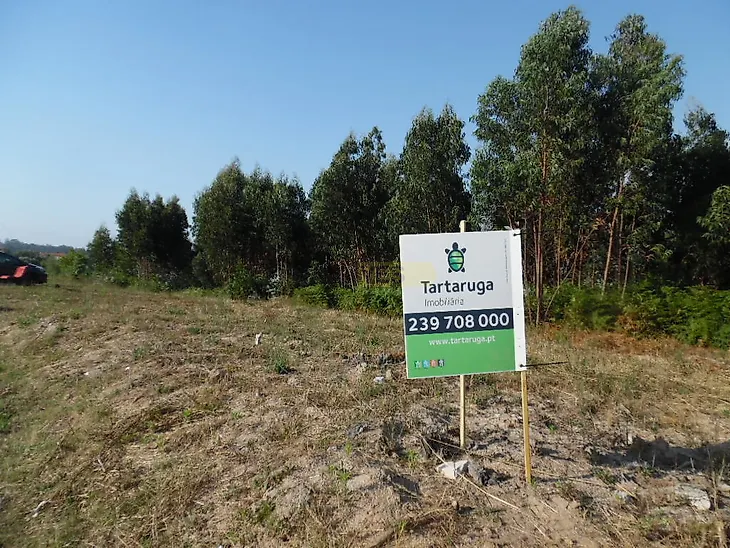 main-listing-picture-0