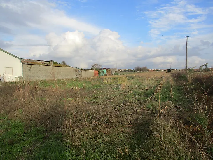 main-listing-picture-0