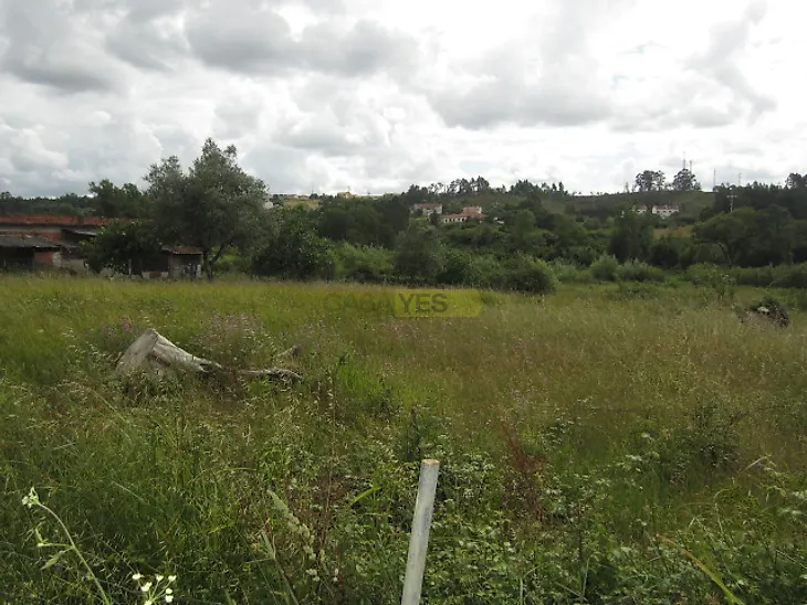 main-listing-picture-0