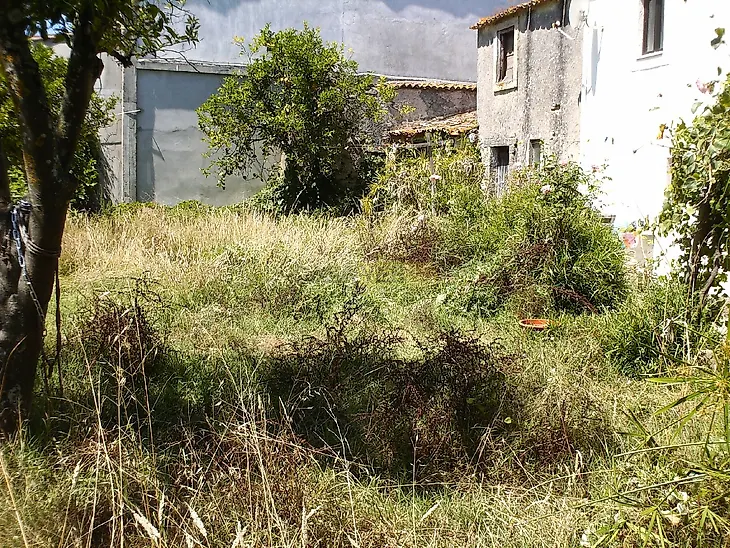 main-listing-picture-0