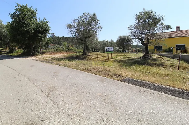 main-listing-picture-0