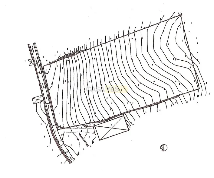 main-listing-picture-0