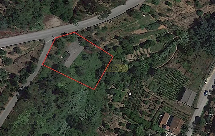 main-listing-picture-0