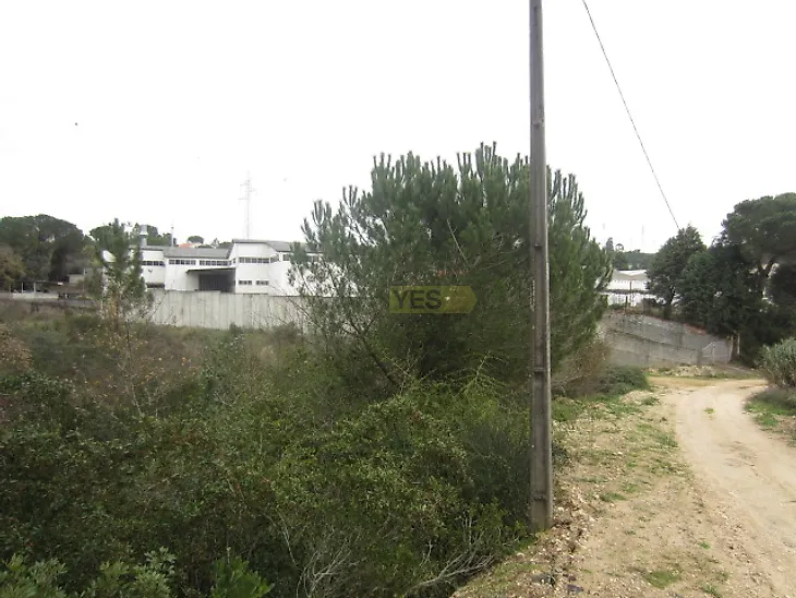 main-listing-picture-0
