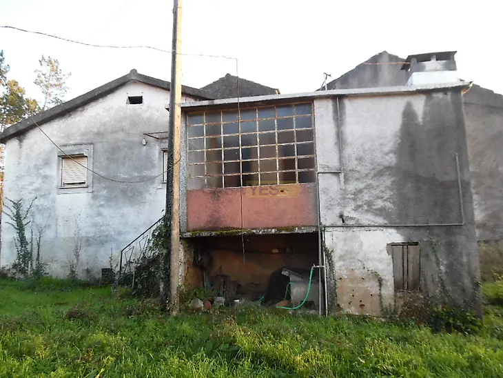 main-listing-picture-0