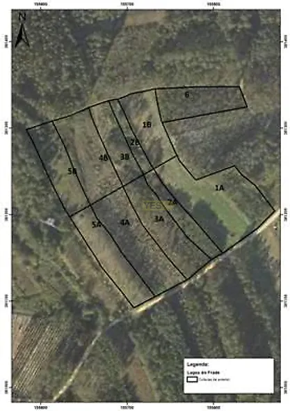 main-listing-picture-0