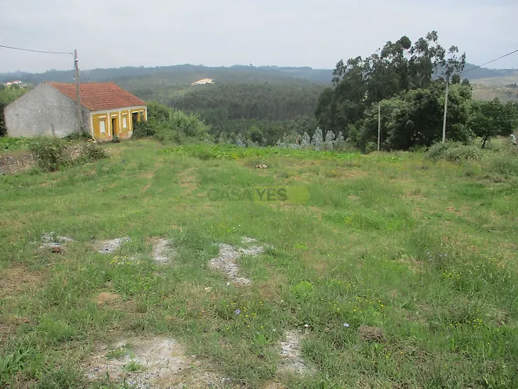 main-listing-picture-0