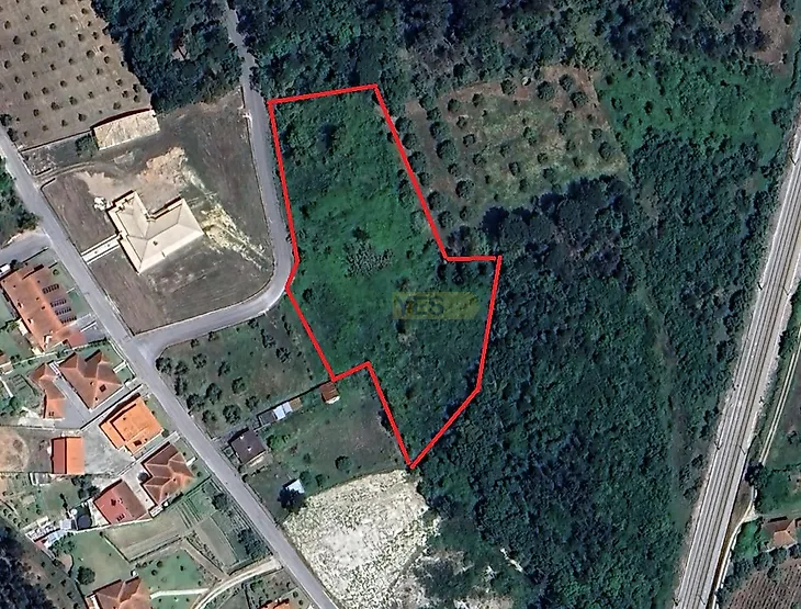 main-listing-picture-0