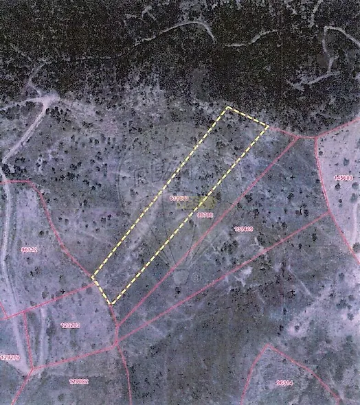 main-listing-picture-0
