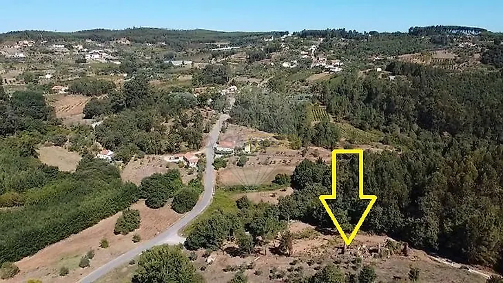 main-listing-picture-0