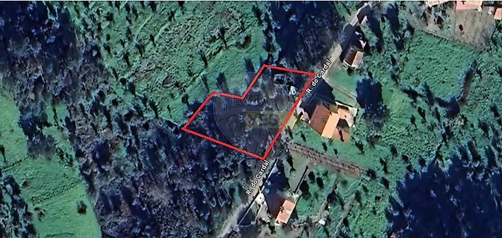 main-listing-picture-0