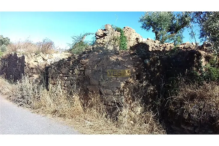 main-listing-picture-0