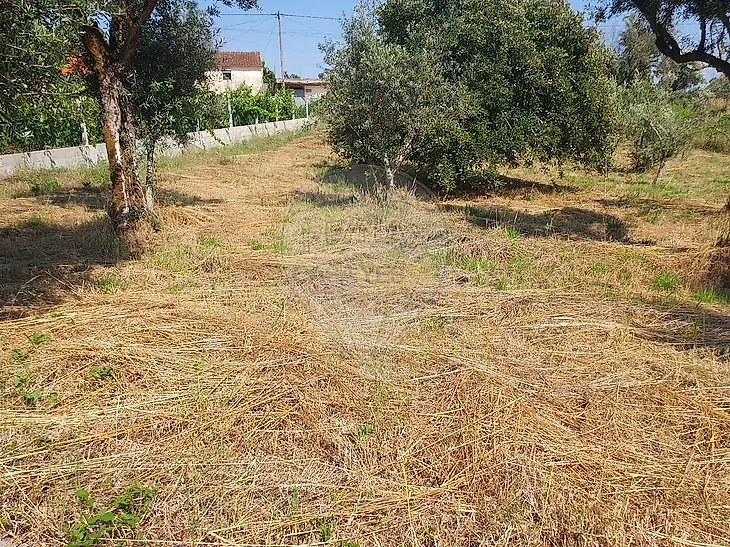 main-listing-picture-0