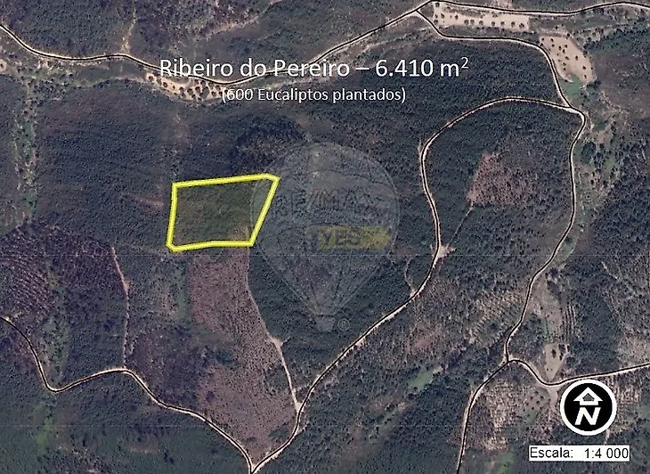 main-listing-picture-0