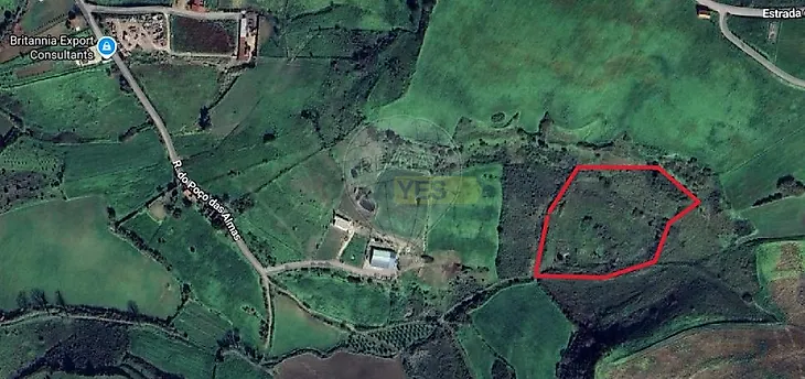 main-listing-picture-0