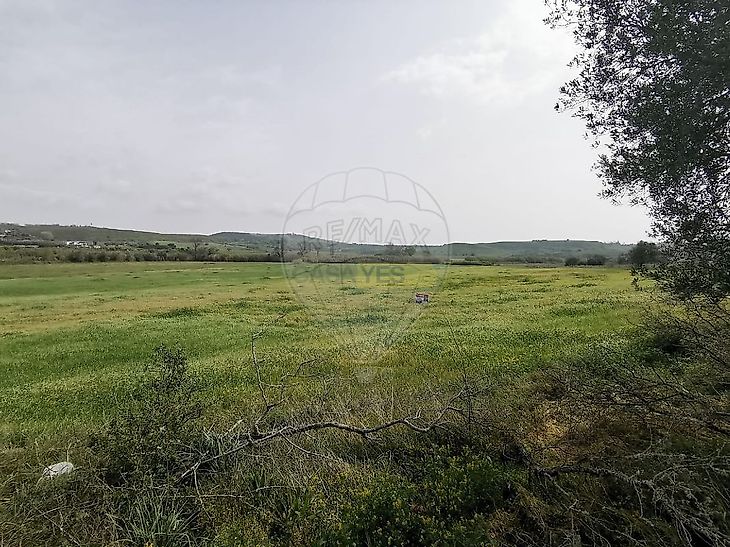 main-listing-picture-0