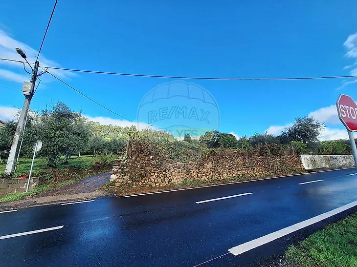 main-listing-picture-0