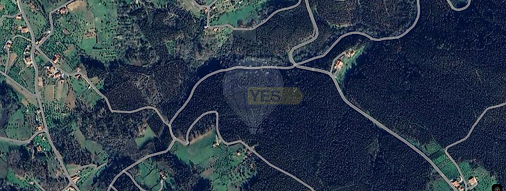 main-listing-picture-0