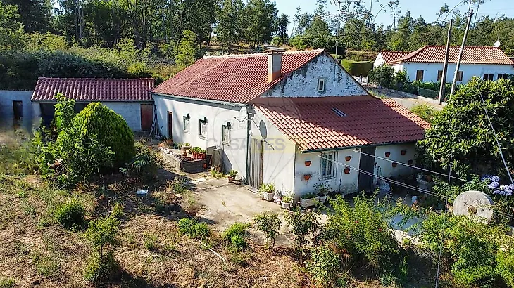 main-listing-picture-0