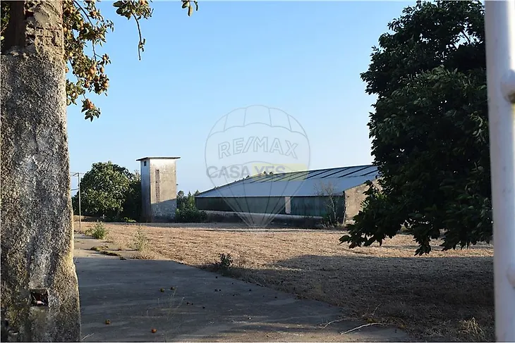 main-listing-picture-0