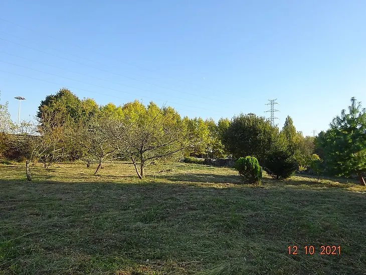 main-listing-picture-0