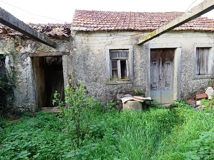 main-listing-picture-0