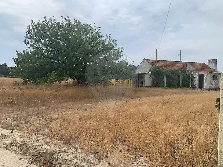 main-listing-picture-0