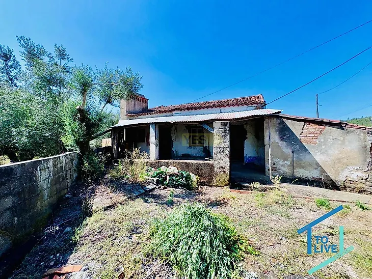 main-listing-picture-0