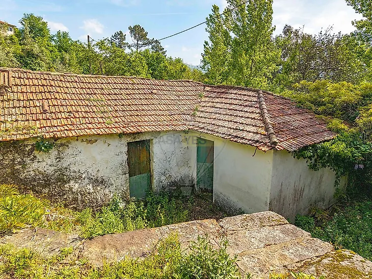 main-listing-picture-0