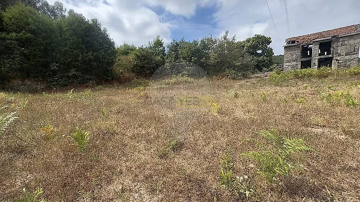 main-listing-picture-0