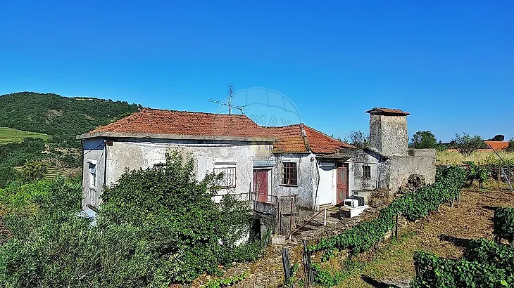 main-listing-picture-0