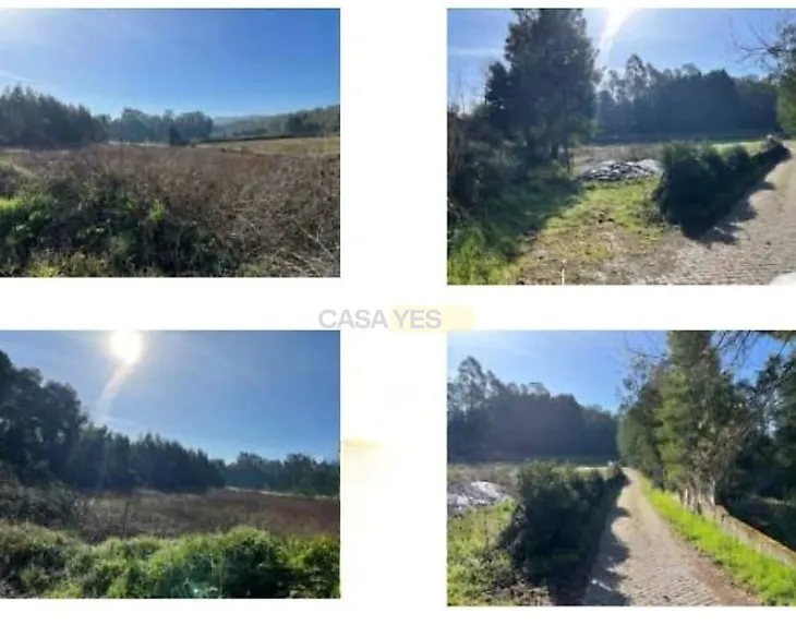 main-listing-picture-0