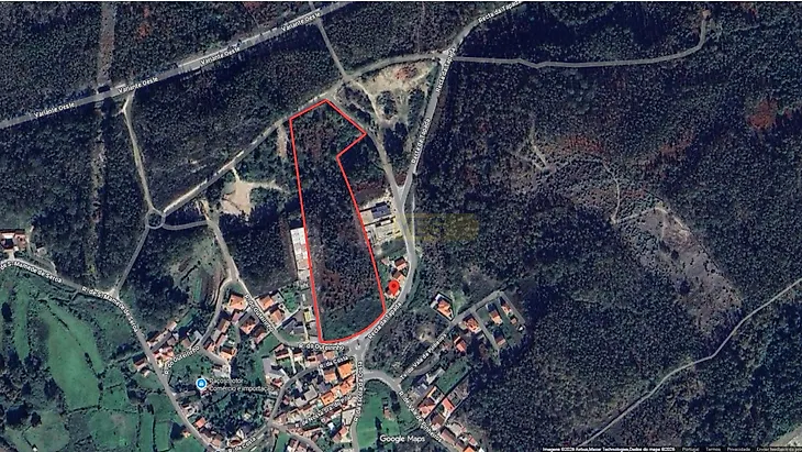 main-listing-picture-0