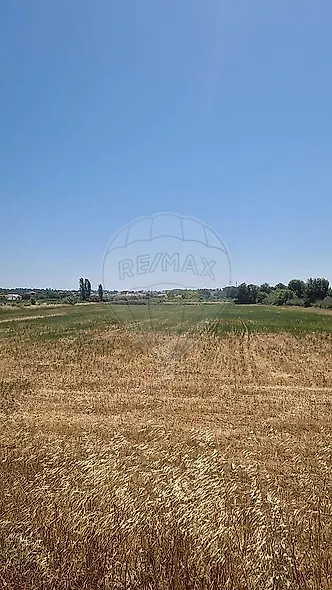 main-listing-picture-0